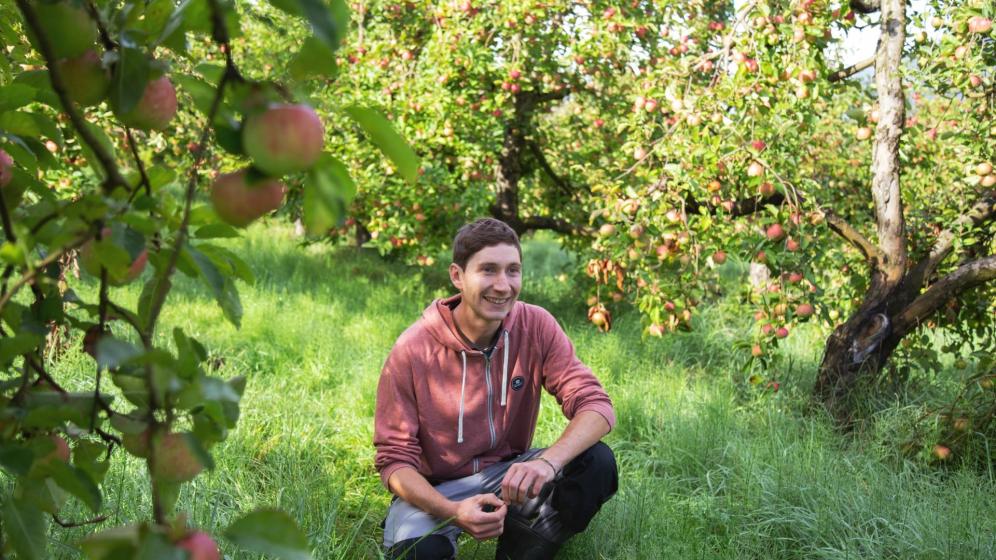 Apple farmer Simon Ruatti