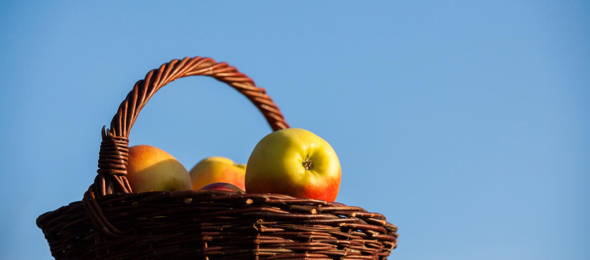 Südtiroler Apfel