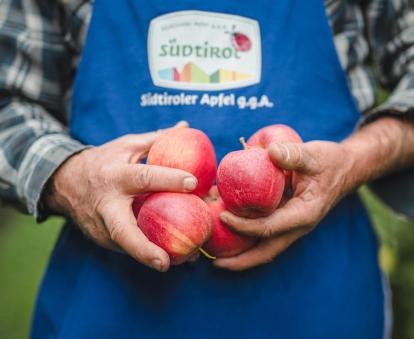 South Tyrolean Apple