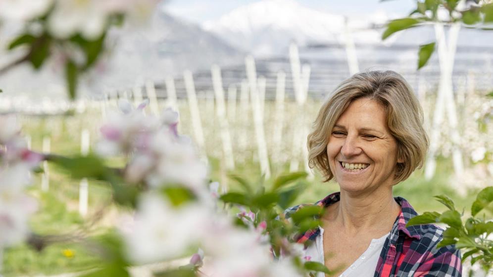 Apple farmer Uli Frei at work