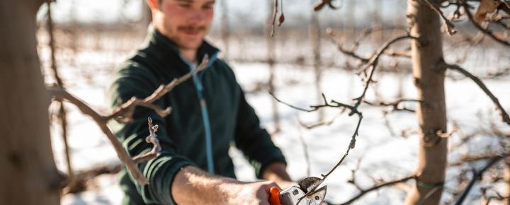 A farmer cutting a tree