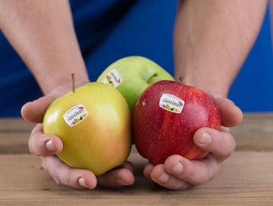 South Tyrolean Apple