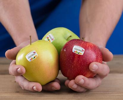 South Tyrolean Apple