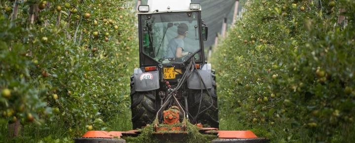 Mulching