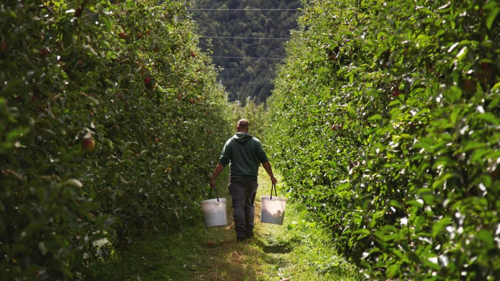 Apple farmer Leonhard Wellenzohn