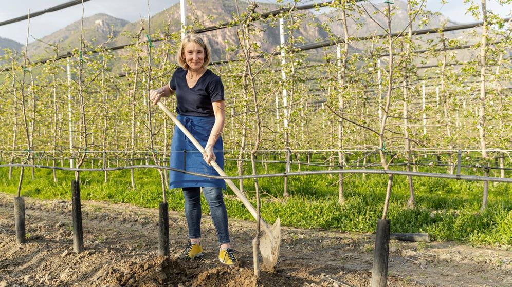 Apfelbäuerin Michaela Hafner bei der Arbeit