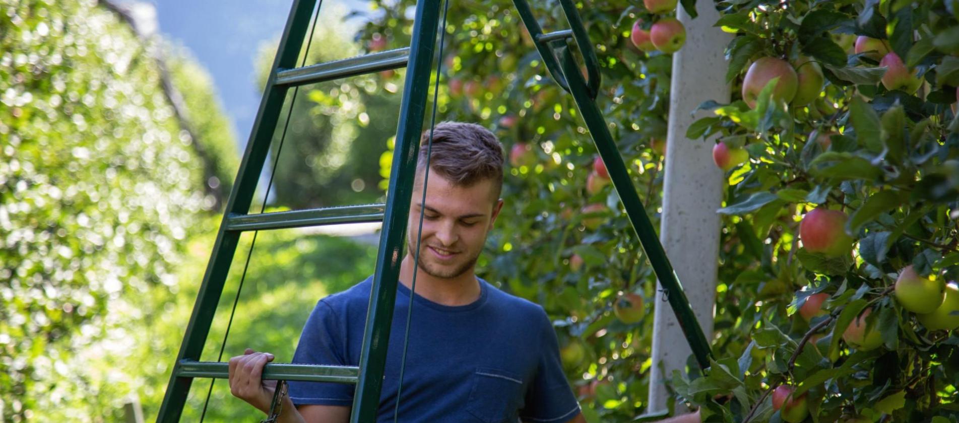 Jungbauer bei der Arbeit