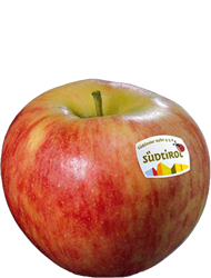 Elstar apple