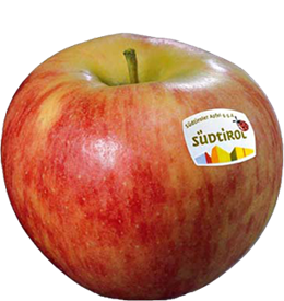 Elstar apple