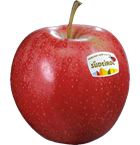 Gala apple