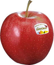 Gala apple