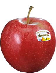 Gala apple