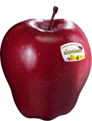 Red Delicious apple