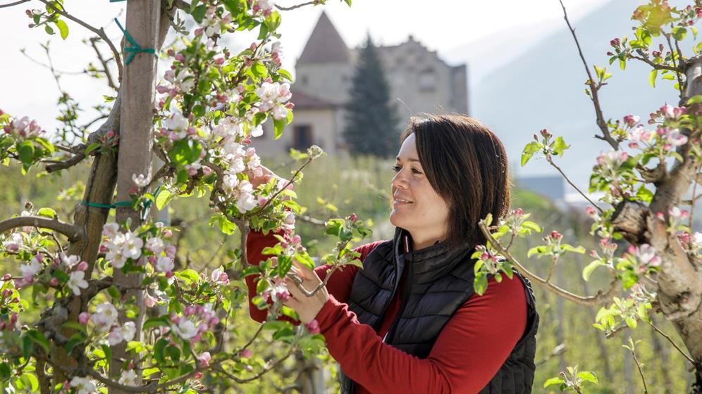 Apple farmer Maria Tappeiner