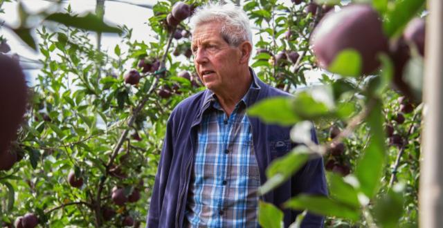 Apple farmer Emil Pichler from Jenesien