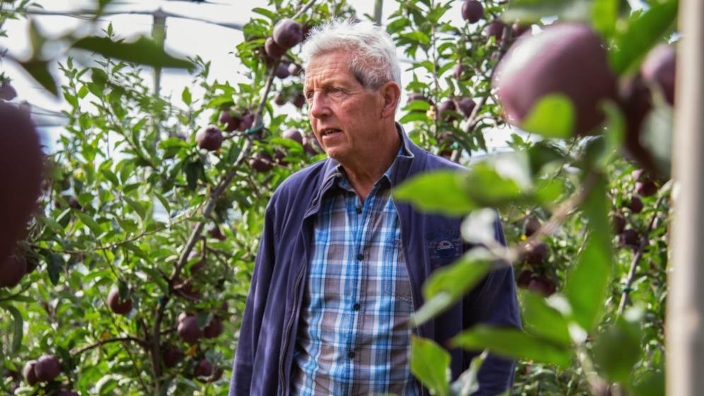 Apple farmer Emil Pichler from Jenesien