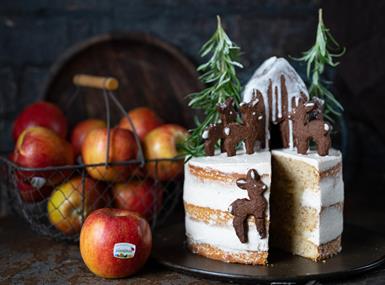 Torta di mele invernale con crema alla cannella