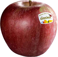 Stayman Winesap apple