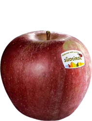 Stayman Winesap apple