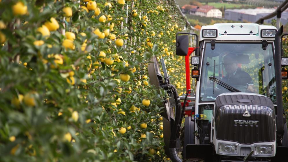 Apple farmer Erwin Blaas with a defoliation machine