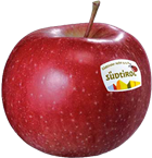 Morgenduft apple