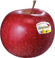 Morgenduft apple