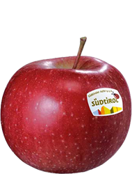 Morgenduft apple