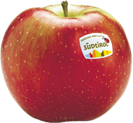 Idared apple