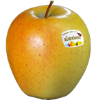 Golden Delicious apple