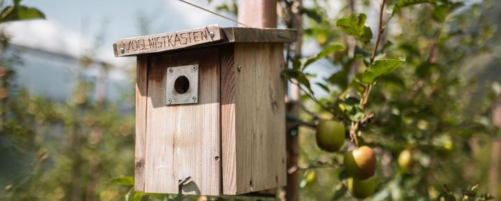 Provvedimenti ecologici