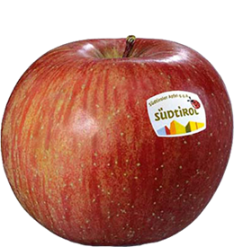 Fuji apple