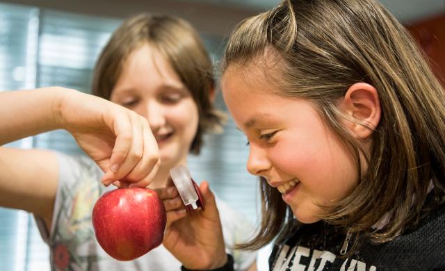 South Tyrolean Apple