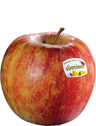 Jonagold apple