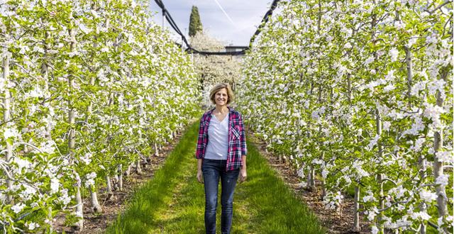 Apple farmer Uli Frei in the orchard