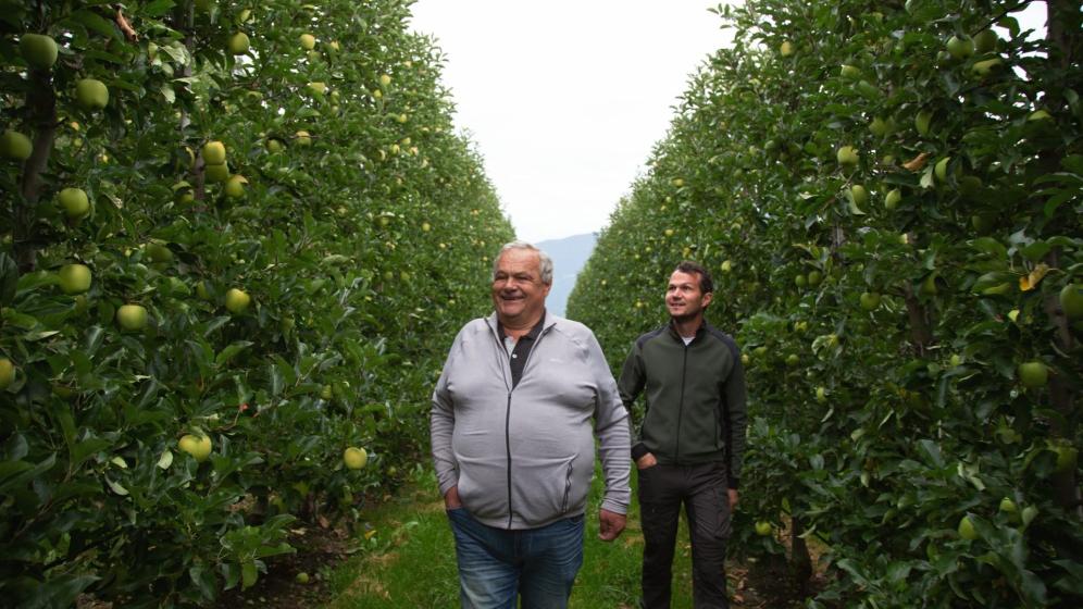 Apple farmer Walter Gasser at the orchard