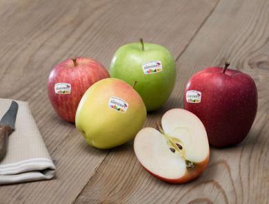 South Tyrolean Apple